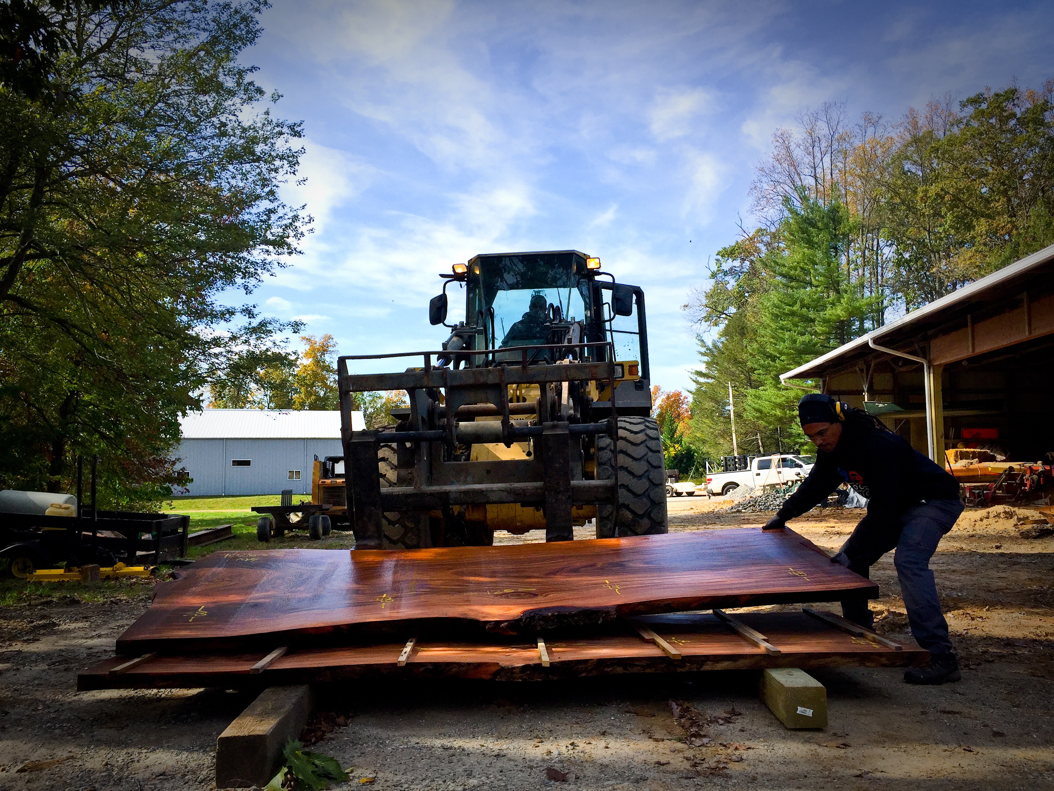 Live Edge Slabs